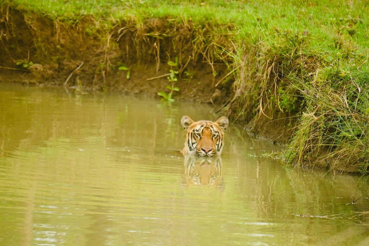 Where Nature Meets Unforgettable Experiences